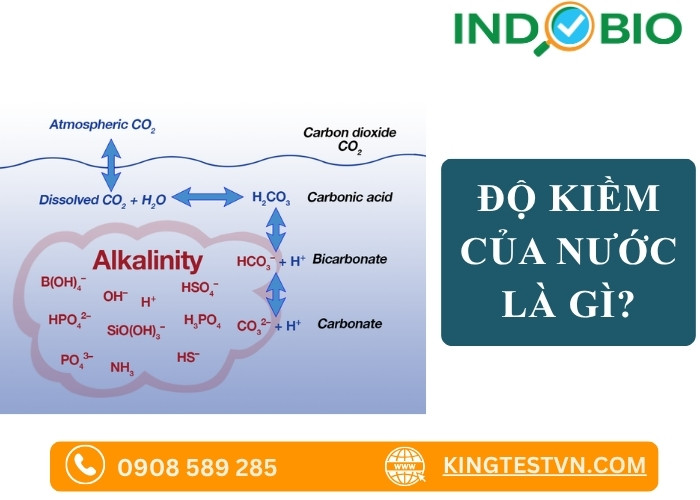 Độ kiềm trong nước là gì? 